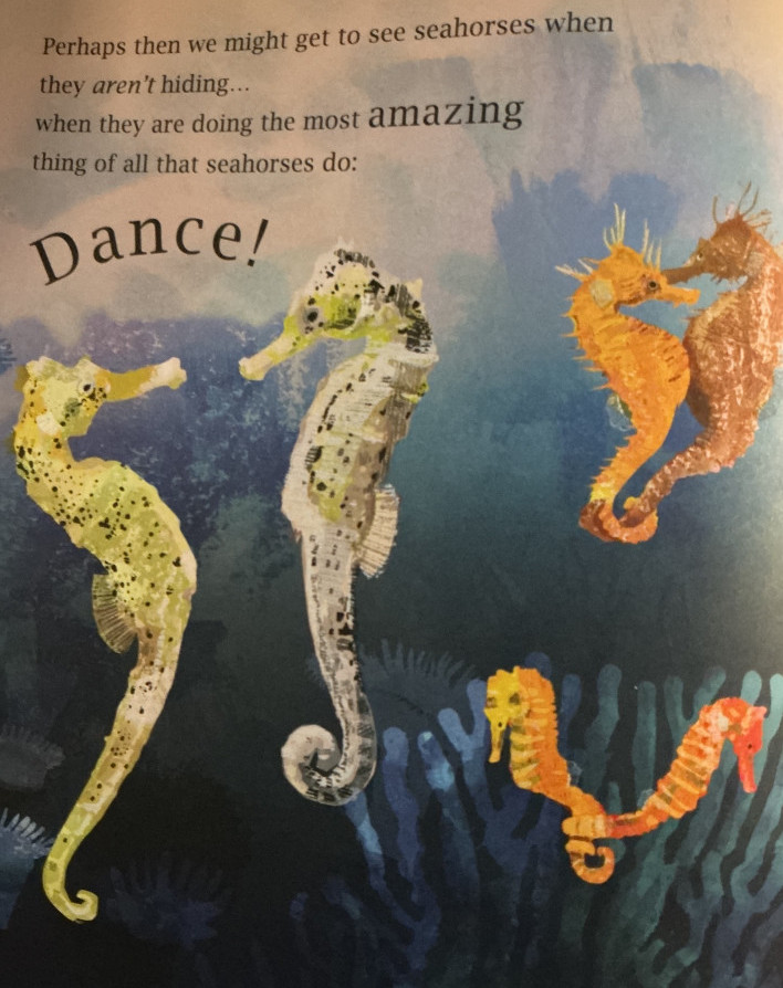 a_seahorse11.jpg
