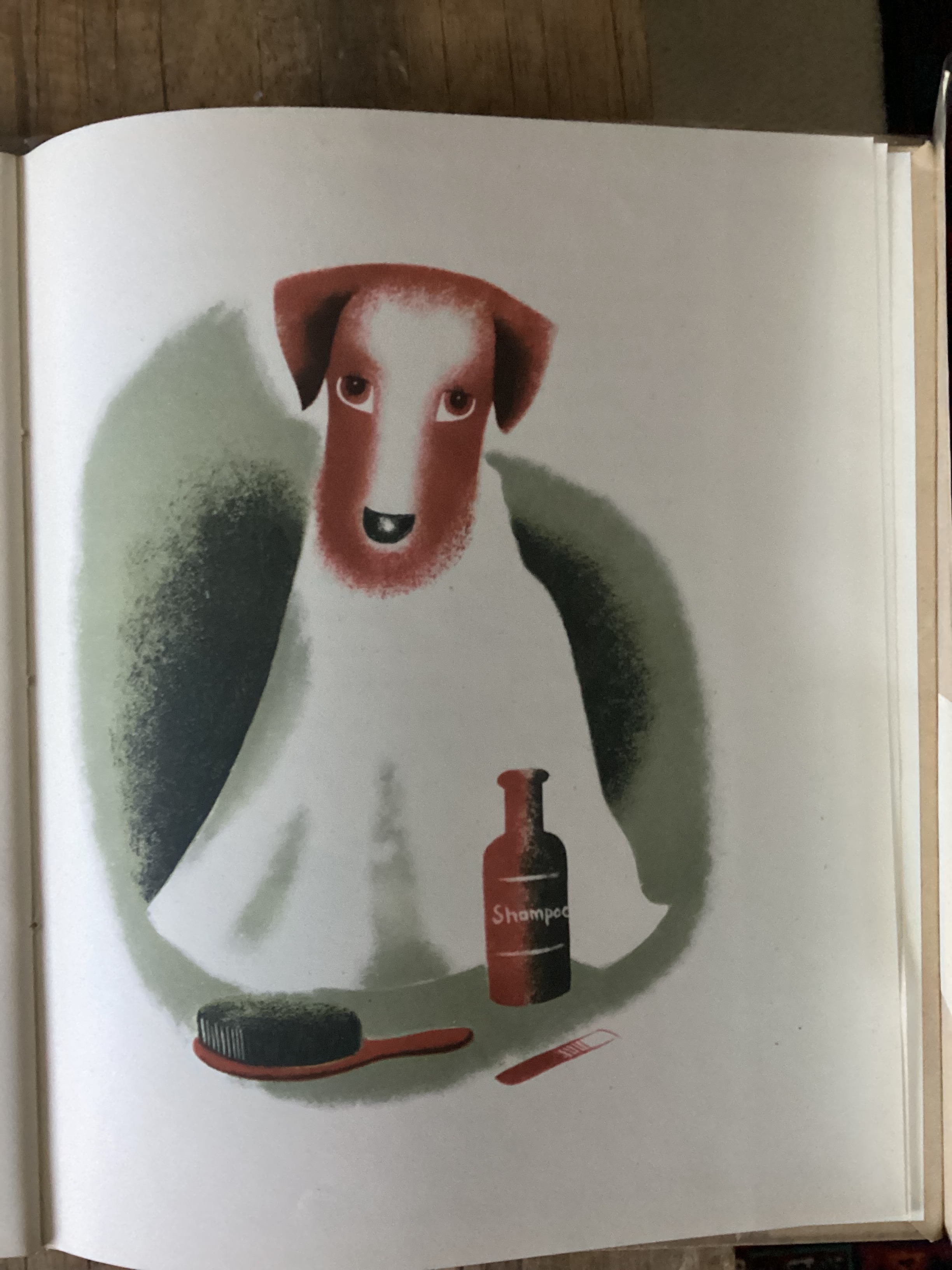 animal3.jpg